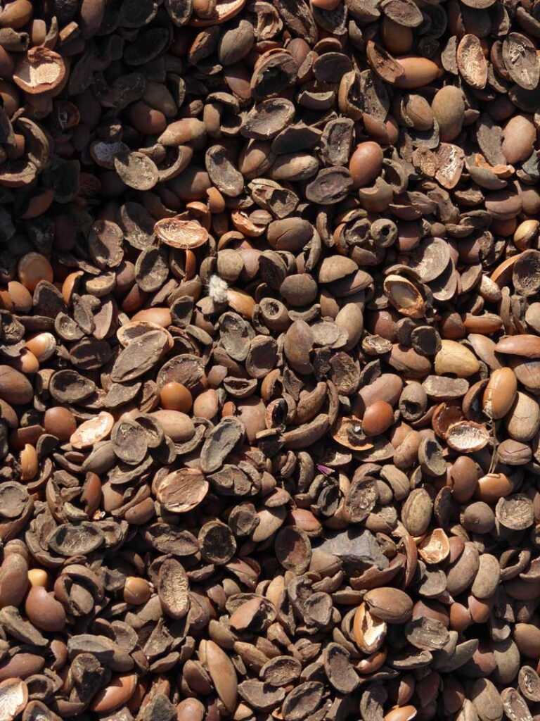 Argan Oil